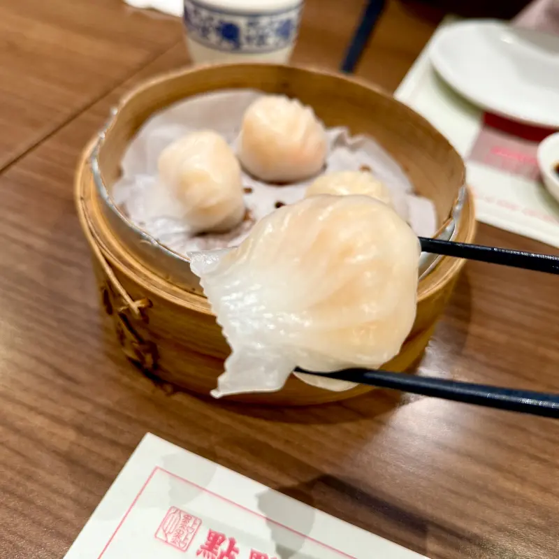 투명한 피가 매력적인 하가우