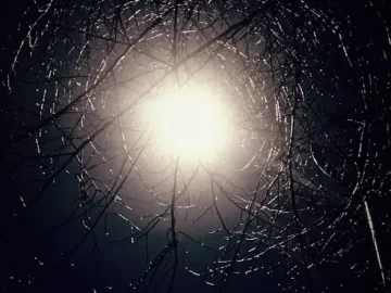 오늘, 내 인생 치킨집 찾았다! 성주 치킨 맛집 레전드 “처갓집양념치킨”