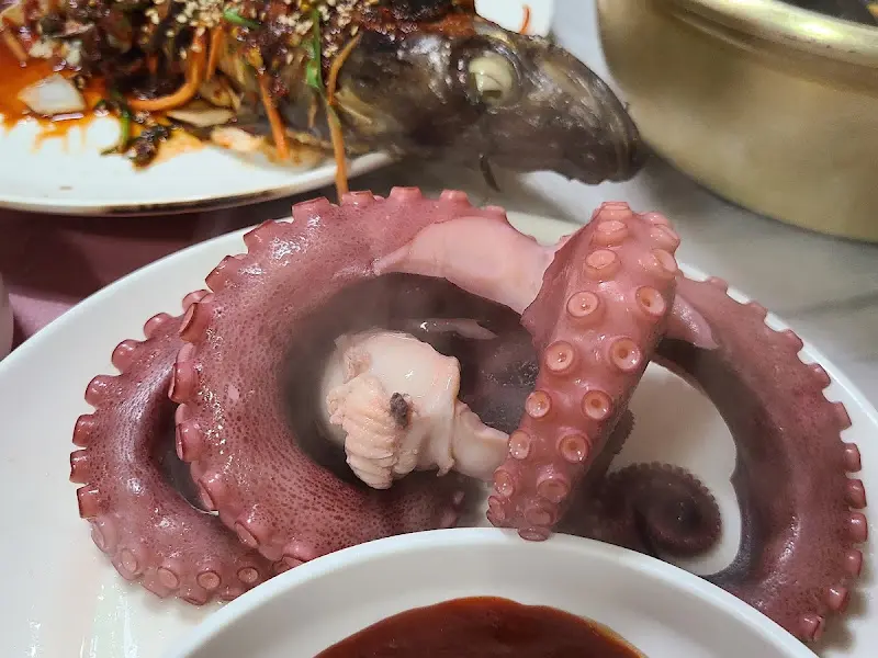 꿈틀거리는 산낙지