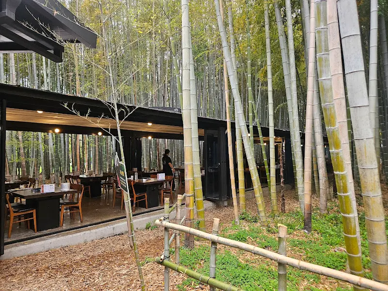 대나무 숲과 식당 건물의 조화
