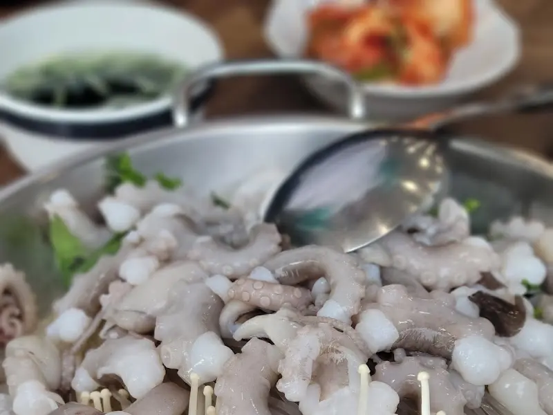 탱글탱글한 낙지의 모습