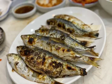 마산 어시장, 싱싱함이 폭발하는 청도횟집! 레전드 맛집 발견!