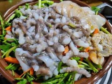 장흥의 숨겨진 보석, 신가네에서 맛보는 낙지삼합의 향연: 잊을 수 없는 전남 맛집 기행