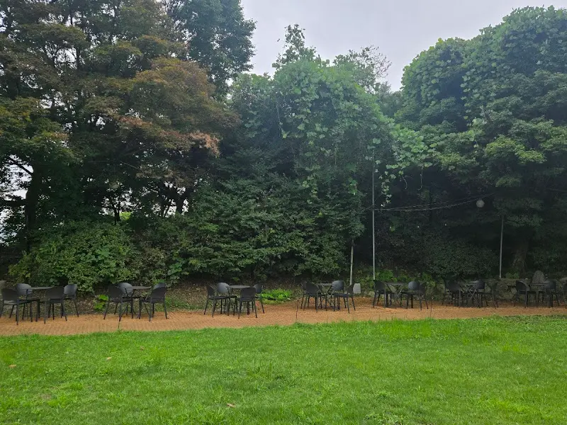 야외 테이블이 놓인 잔디밭