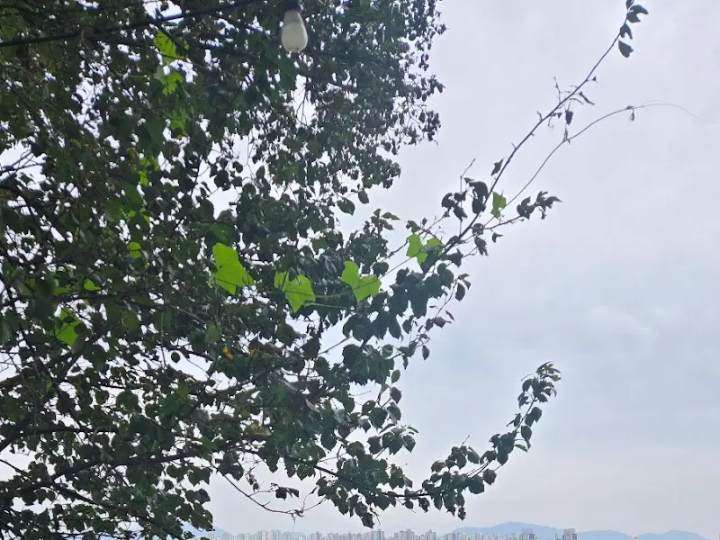 카페 야외 좌석