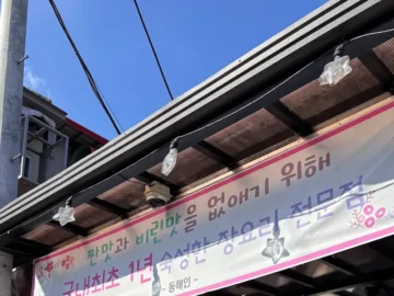 영월의 숨겨진 장 맛집, 동해인의 특별한 미식 경험