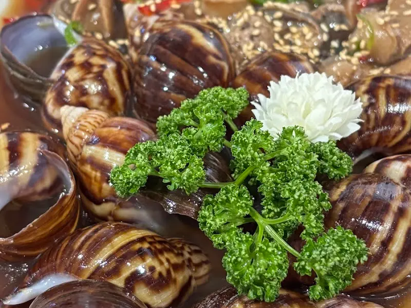 독특한 비주얼의 달팽이장