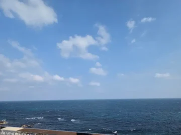 영덕 바다를 삼킨 듯한 오션뷰, 보움에서 맛보는 인생 커피와 빵! 여기가 진짜 뷰 맛집