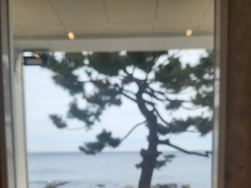 창밖으로 보이는 소나무와 바다