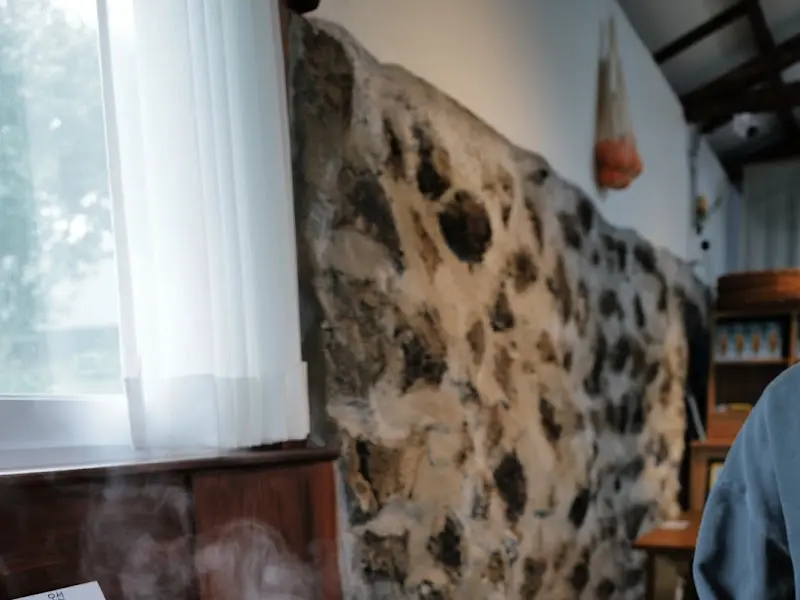 오선 식당 내부 돌담 벽면