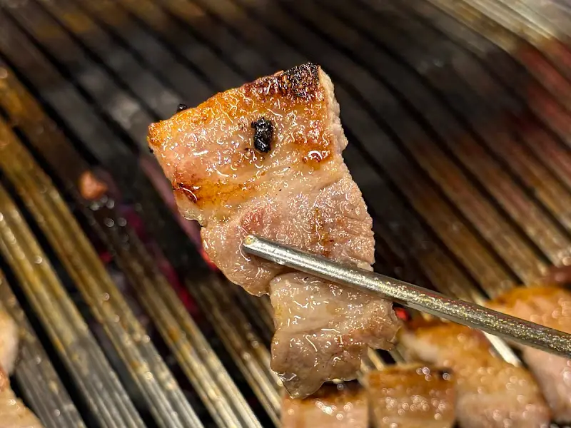 맛있게 구워진 고기 한 점