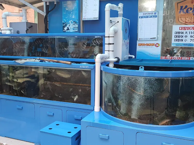 싱싱한 활어 수족관