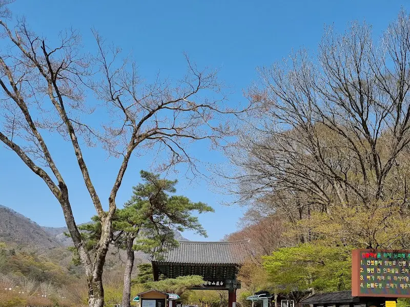 백양사 입구