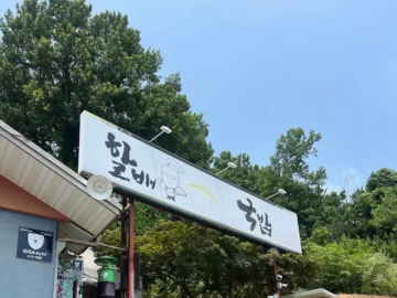 장작불 가마솥에서 우러난 천안의 깊은 맛, 할배 가마솥 국밥에서 맛보는 고향의 맛집