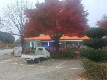 춘천 숨은 보석, 원소리 막국수에서 맛보는 추억의 맛! 혼밥도 문제없지, 이 지역 맛집!