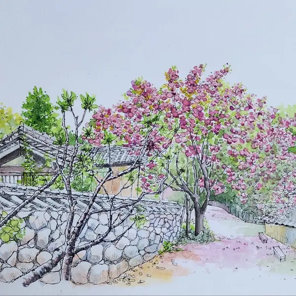 돌담길 옆 벚꽃나무가 인상적인 그림