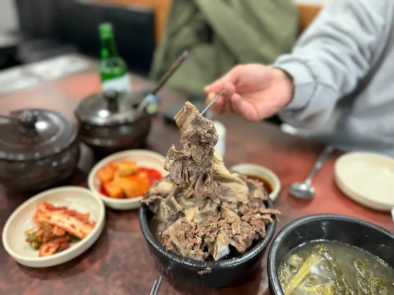 뼈다귀를 집어 올린 모습