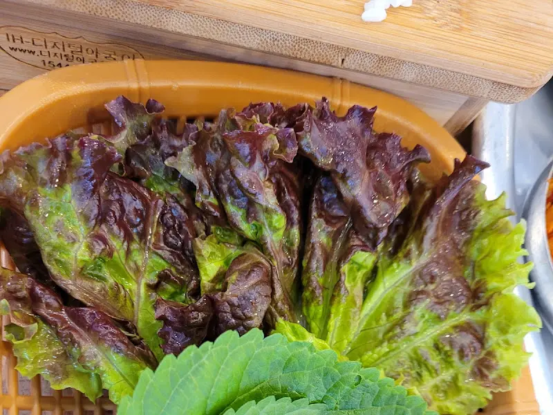 신선한 쌈 채소