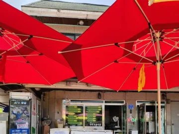 12년 만의 염원, 영월에서 찾은 칡국수 맛집 실험적 보고서