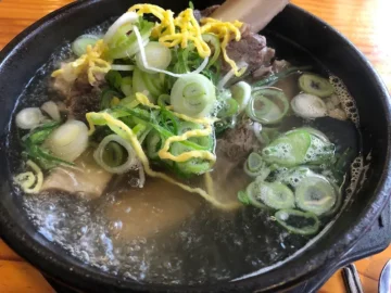 뚝배기 속 과학, 동대문 설렁탕 맛집에서 펼쳐지는 감칠맛의 향연