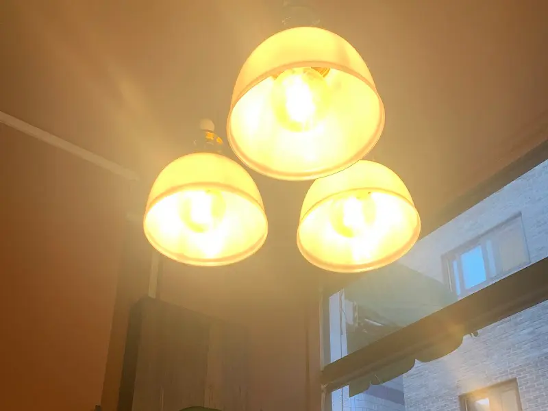 또 다른 커리 메뉴