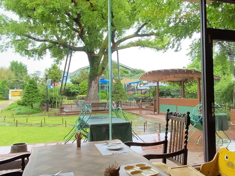 창밖으로 보이는 아름다운 정원 풍경