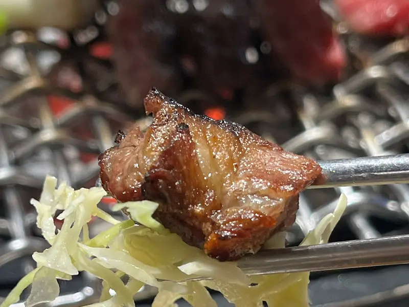 젓가락으로 집어올린 소갈비