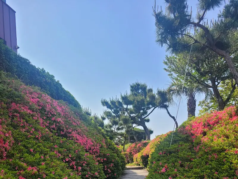 정원으로 향하는 길, 철쭉이 아름답다