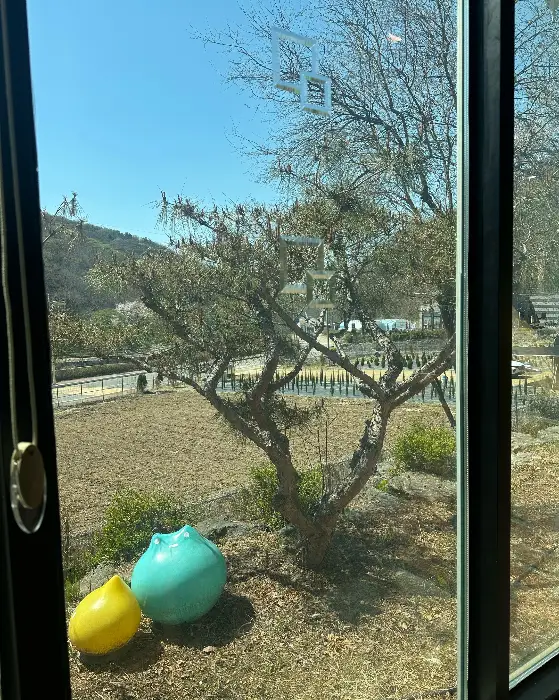 매장 외부 풍경과 자연 경관