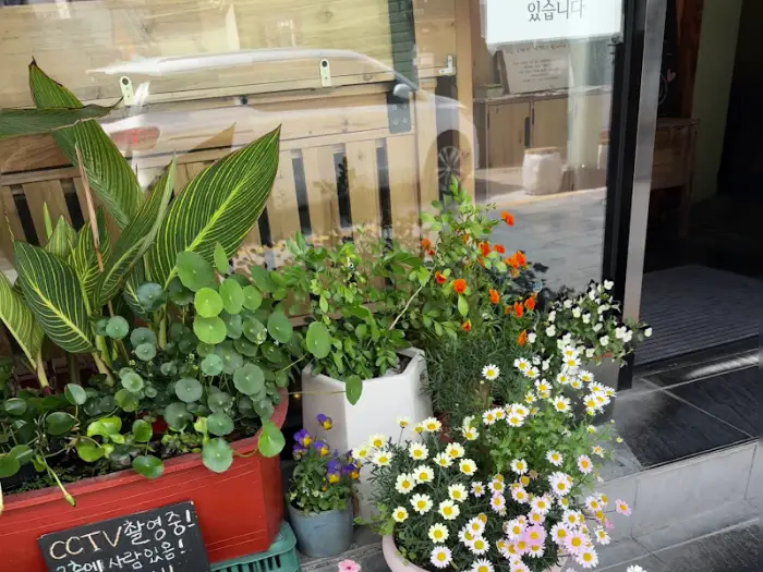 식당 입구 앞 화분들에 놓인 다양한 식물들