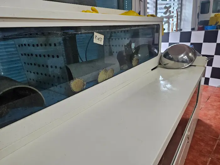 또 다른 각도에서 본 수조와 주변 모습