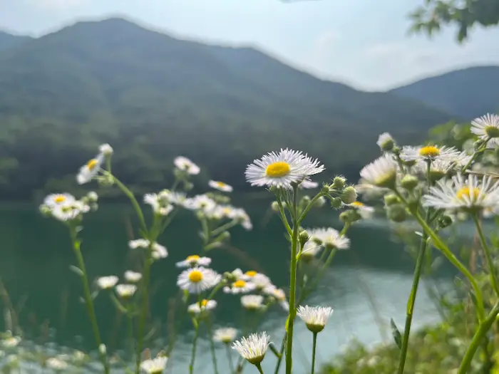 오스갤러리 내부 갤러리 공간