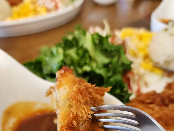 돈까스 클로즈업 사진