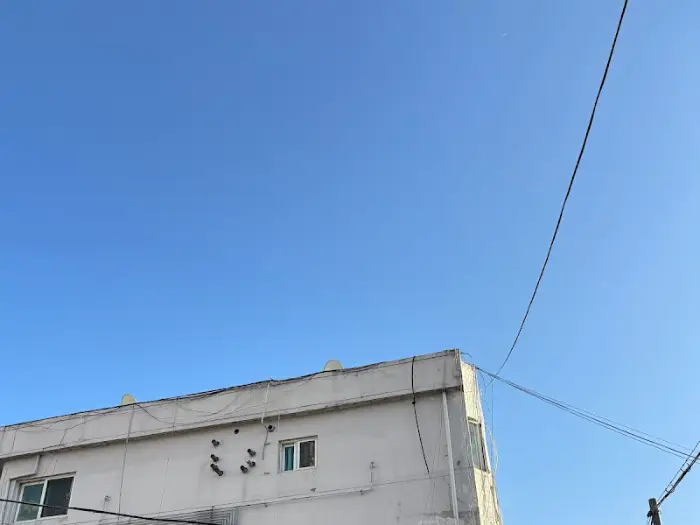 신선한 돼지 생갈비