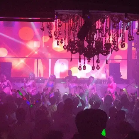 화려한 조명의 실내 모습 (참고: 이 사진은 실제 식당 내부와 직접적인 관련이 없습니다.)