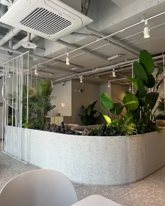 카페 안쪽 공간에 놓인 대형 식물들과 내부 인테리어