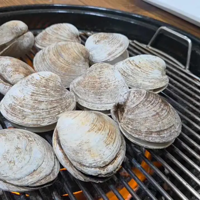 그릴 위에서 구워지는 다양한 조개들