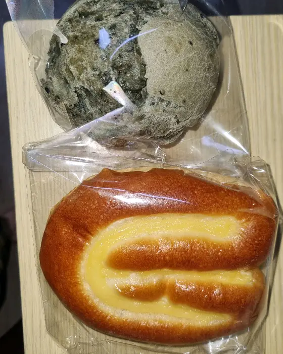 동그란 빵과 롤 형태의 빵