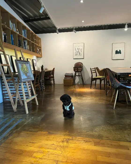 겨울철 눈 쌓인 야외 데크