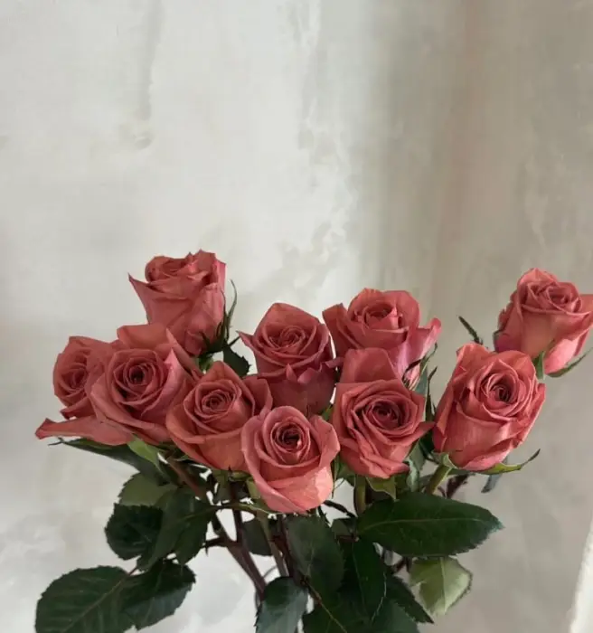 식당 내부의 따뜻한 조명