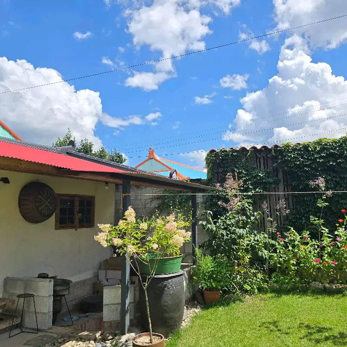 카페 외관과 정원