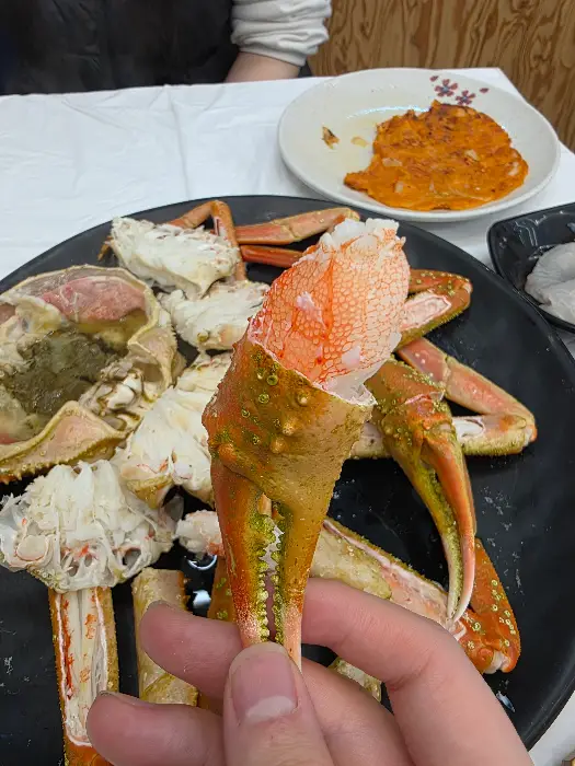 손으로 집어 올린 먹음직스러운 대게 다리