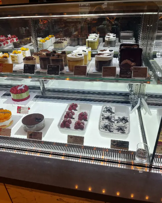 다양한 종류의 케이크