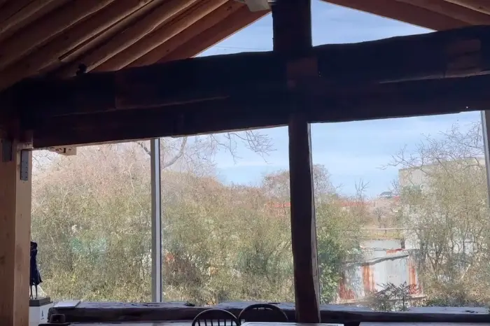 카페 내부에서 바라본 정원 풍경