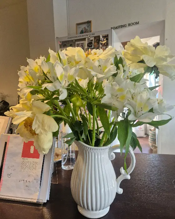 흰색 꽃이 화병에 담겨 있는 모습