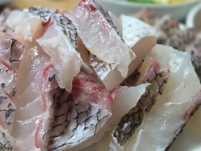 참돔 유비끼의 두툼한 살점 클로즈업