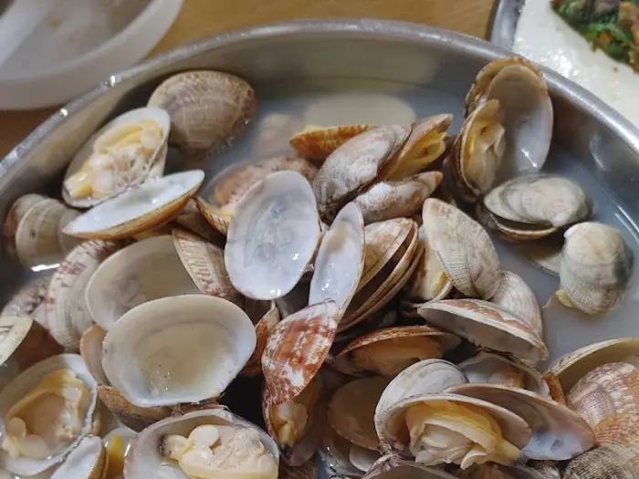 신선한 겉절이 김치