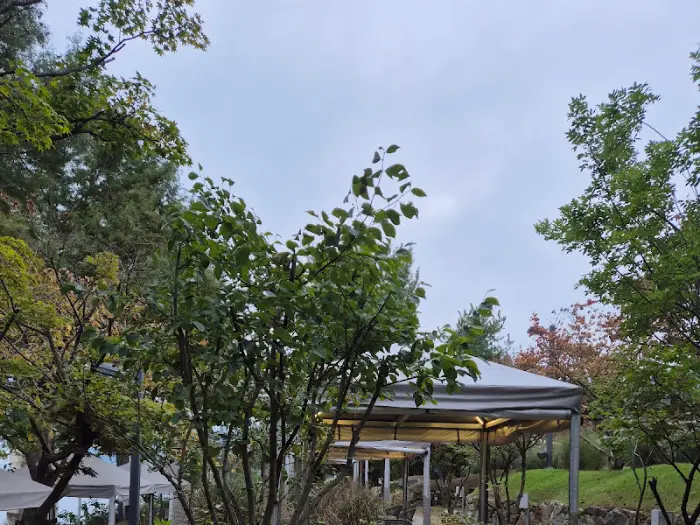 푸른 나무들과 야외 공간의 모습