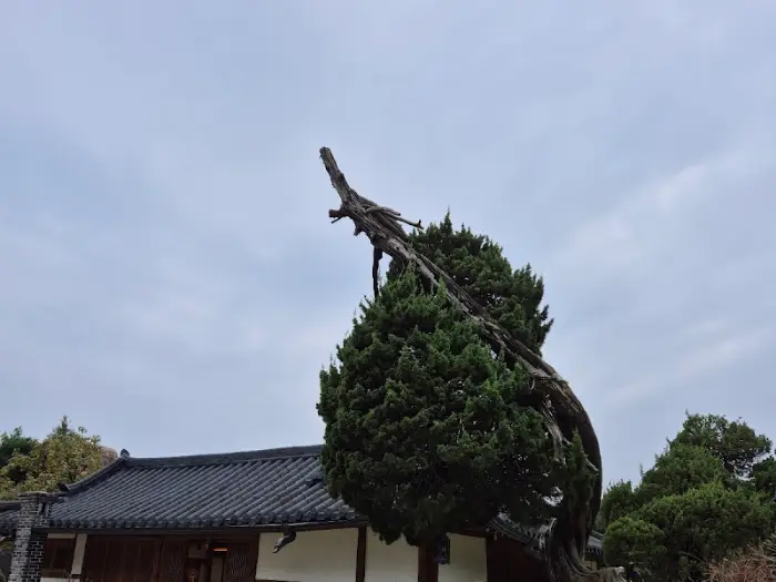 건물 옆의 한옥과 정원 풍경