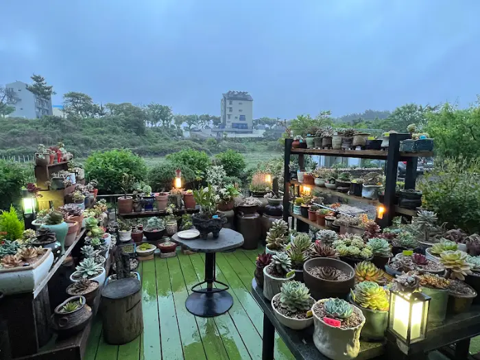 아름다운 꽃과 식물들이 가득한 정원